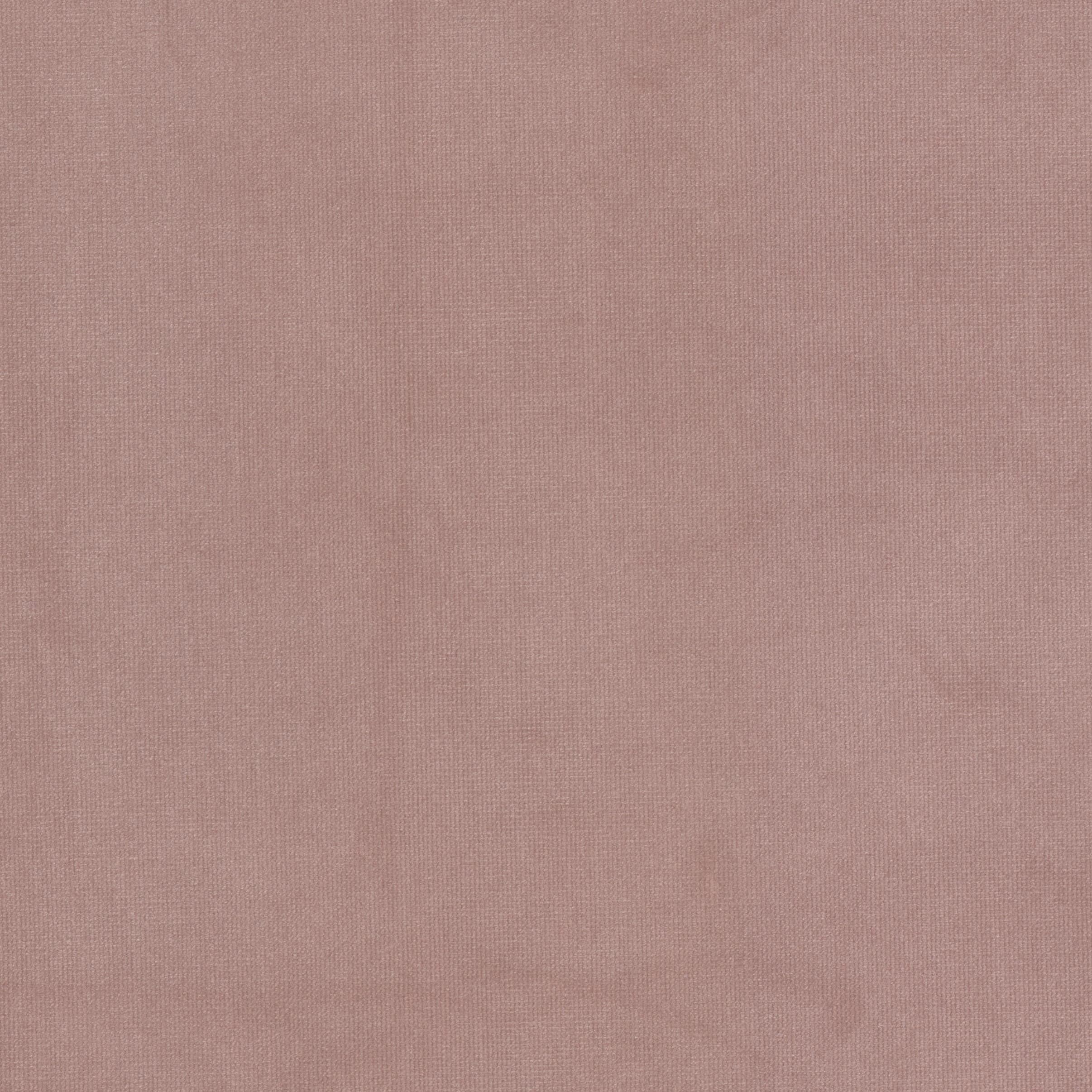 QUEEN-16-CAMELIA-STOUT-TEXTILES - Stout Textiles Fabric