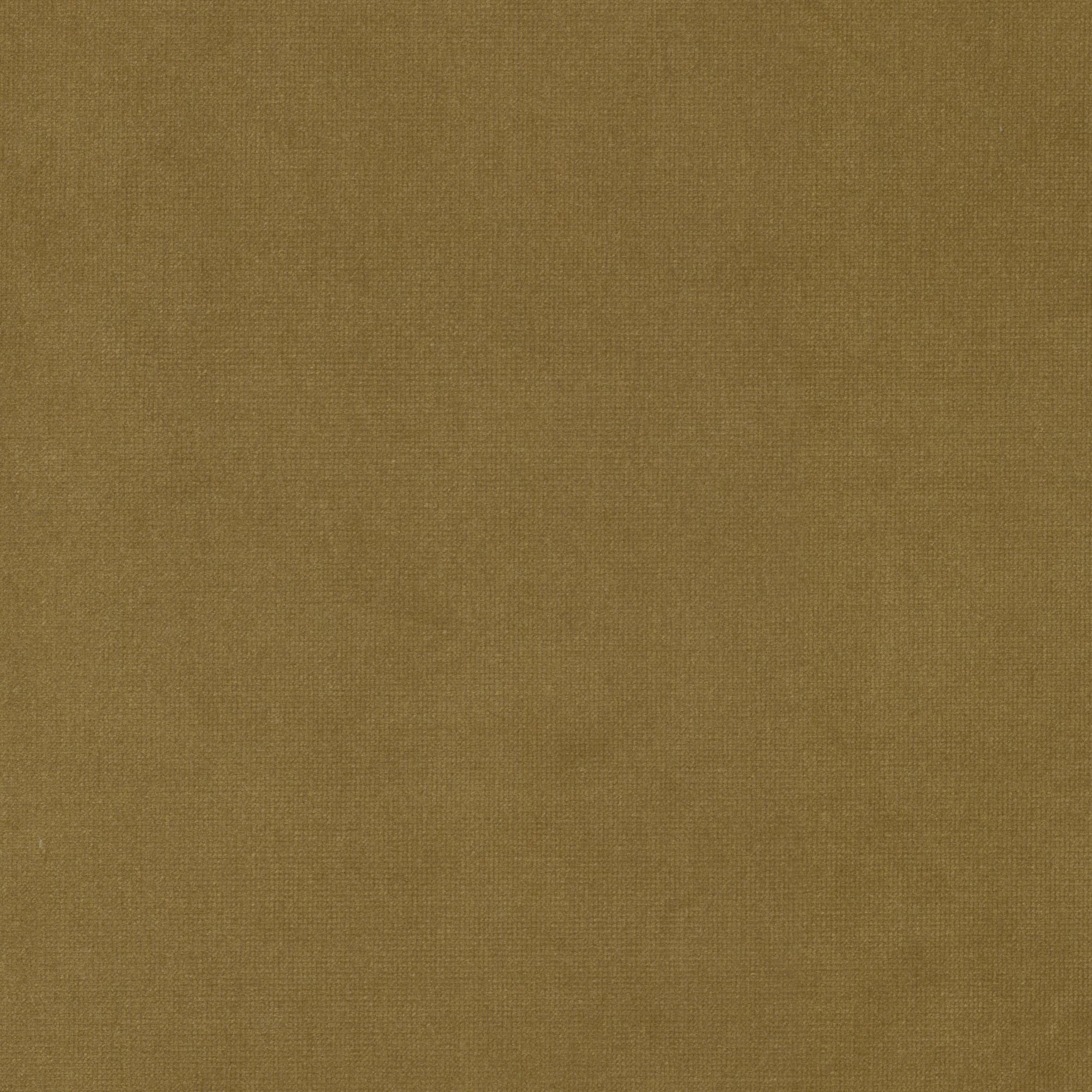 QUEEN-26-HONEY-STOUT-TEXTILES - Stout Textiles Fabric