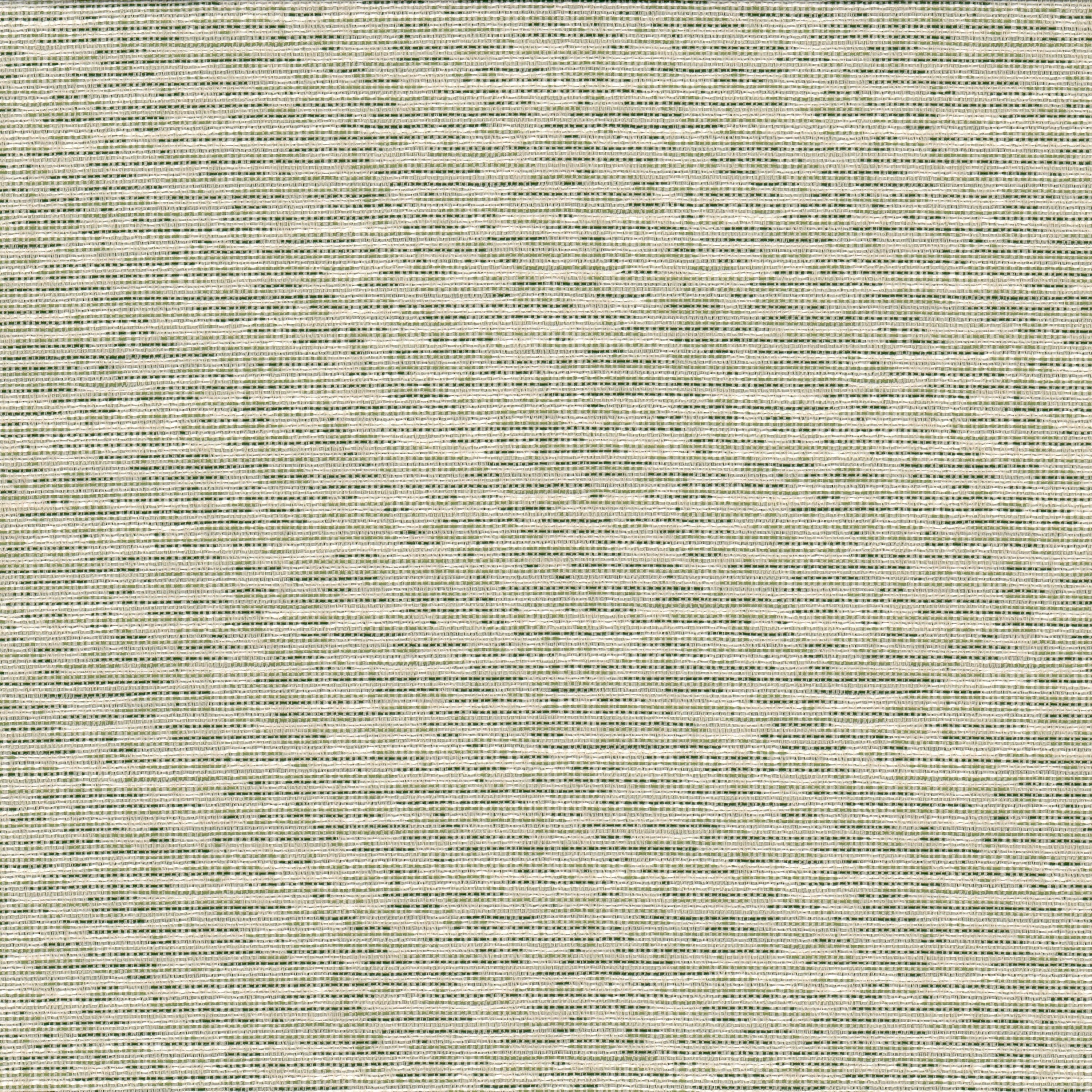 RECORD-1-GRASS-STOUT-TEXTILES