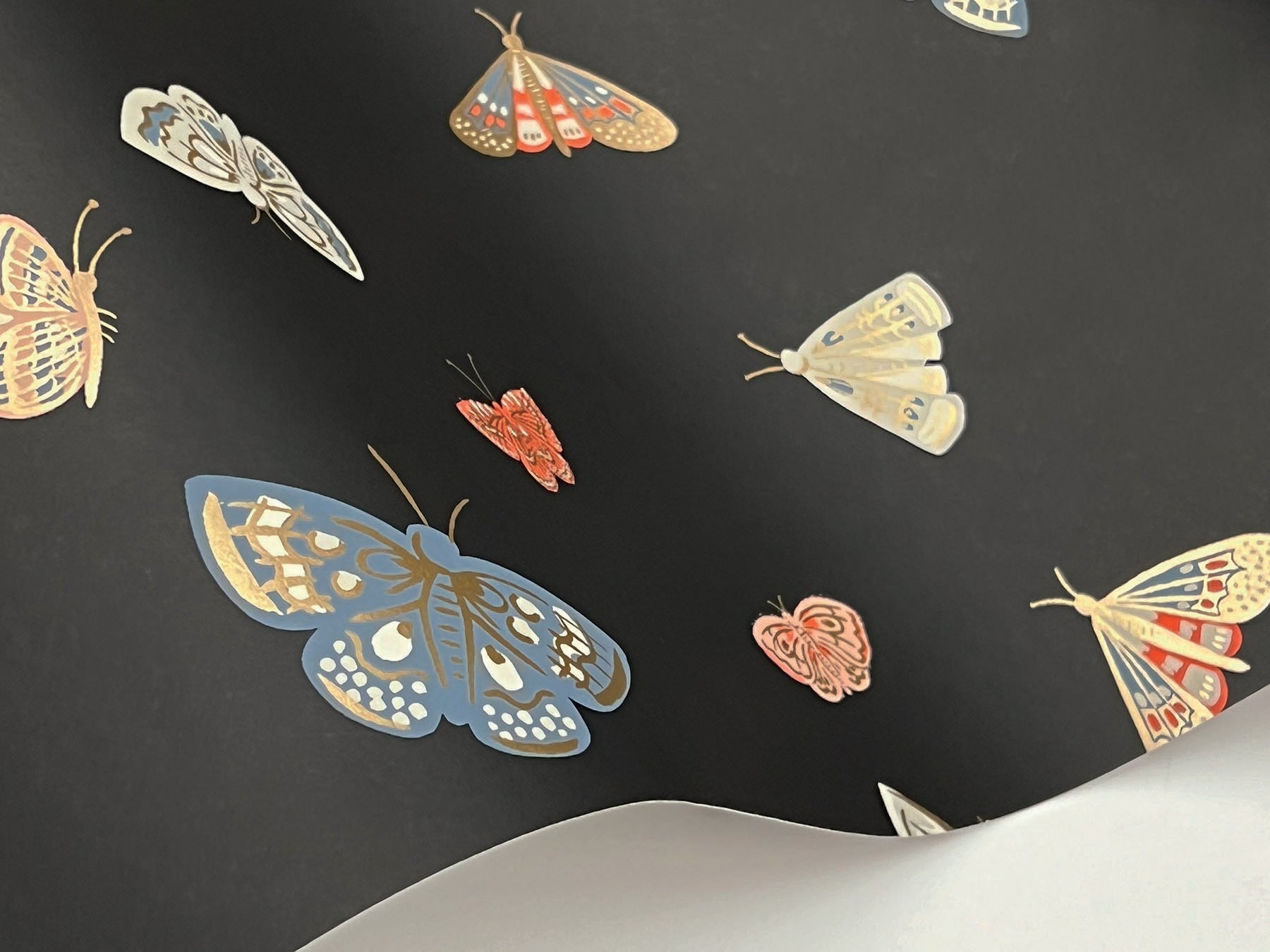 butterfly-house-wallpaper-black-york-wallcoverings-rf7413