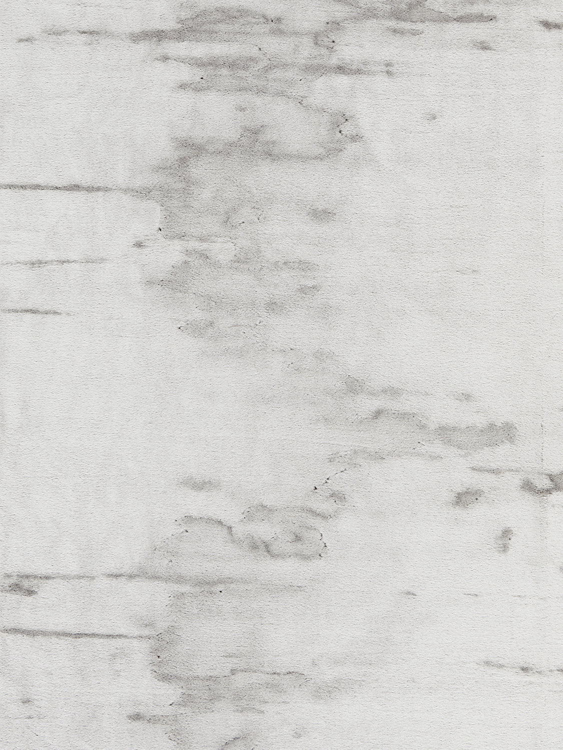 Polar Bear - Greige - Scalamandre Fabric