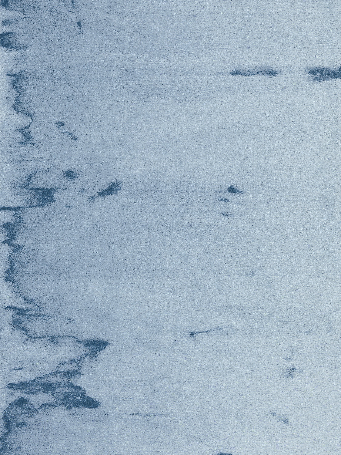 Polar Bear - Blue Frost