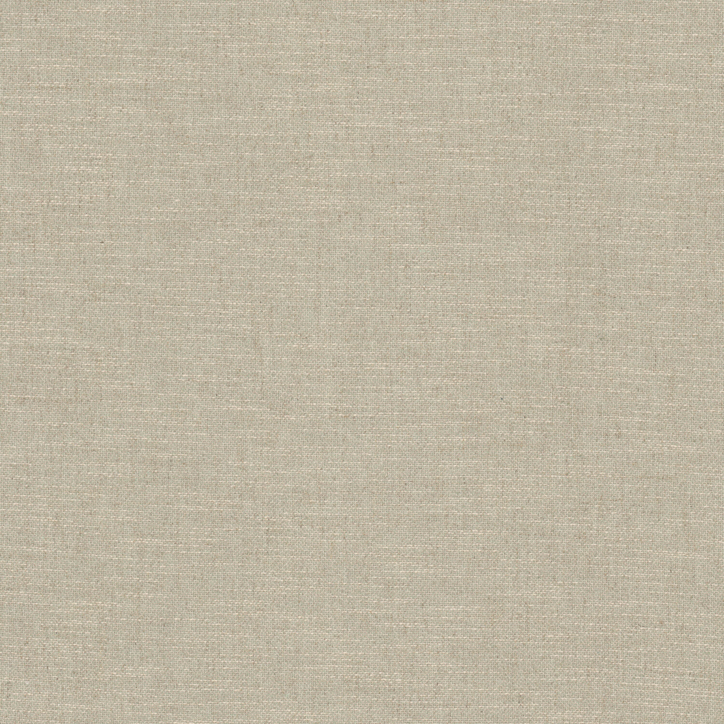 RIBIT-1-ALOE-STOUT-TEXTILES - Stout Textiles Fabric