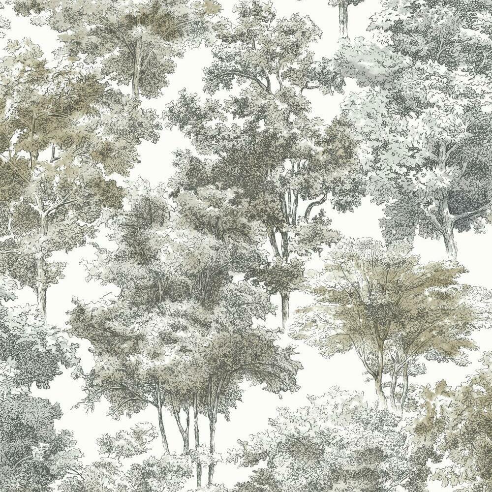 old-world-trees-peel-and-stick-wallpaper-grey-york-wallcoverings-rmk11614wp