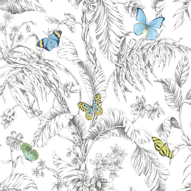 Butterfly Sketch Peel and Stick Wallpaper - Yellow - York Wallcoverings - RMK11823WP