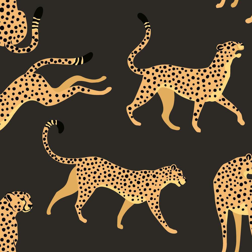 cheetah-cheetah-peel-stick-wallpaper-black-york-wallcoverings-rmk11986rl