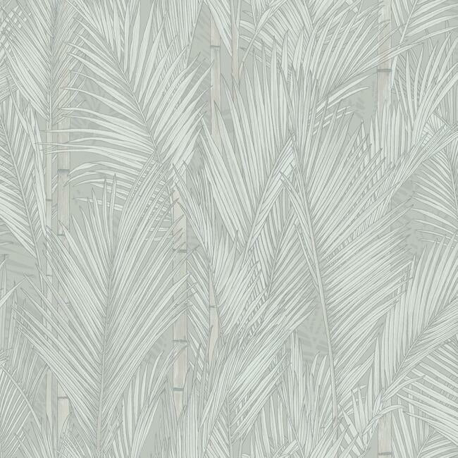 Swaying Fronds Peel & Stick Wallpaper - Grey - York Wallcoverings - RMK12102WP