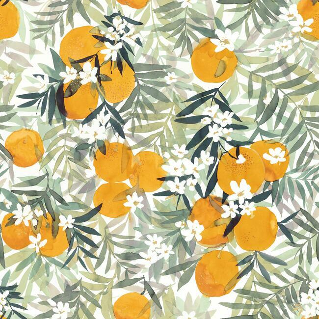 orange-blossom-peel-stick-wallpaper-orange-yellow-green-york-wallcoverings-rmk12199rl