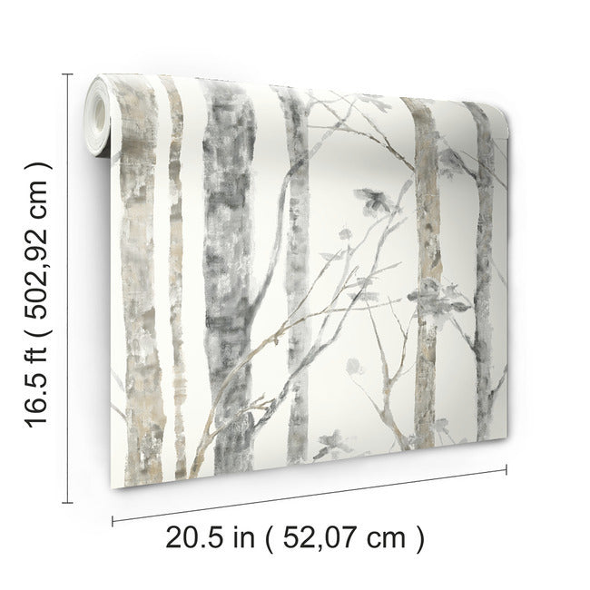 birch-trees-peel-and-stick-wallpaper-york-wallcoverings-rmk9047wp