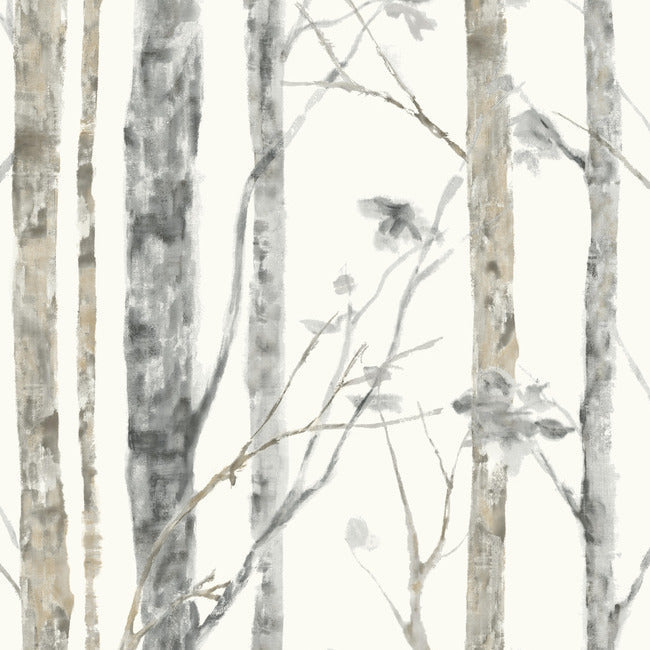 birch-trees-peel-and-stick-wallpaper-york-wallcoverings-rmk9047wp