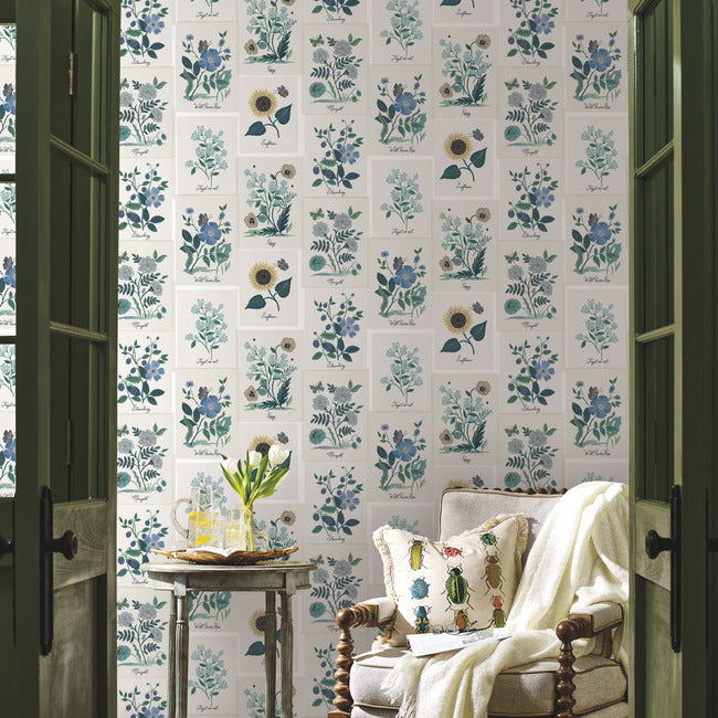 botanical-prints-wallpaper-indigo-york-wallcoverings-rp7335