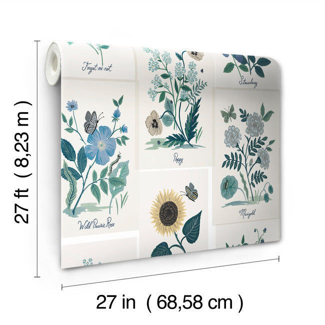 botanical-prints-wallpaper-indigo-york-wallcoverings-rp7335