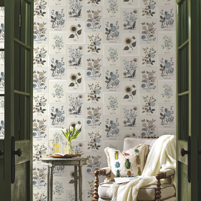 botanical-prints-wallpaper-linen-york-wallcoverings-rp7336