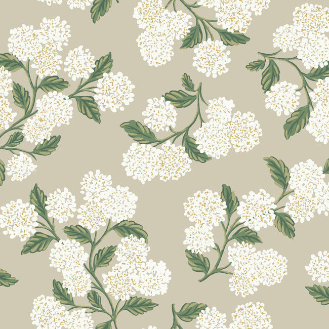 Hydrangea Wallpaper - Linen - York Wallcoverings - RP7394