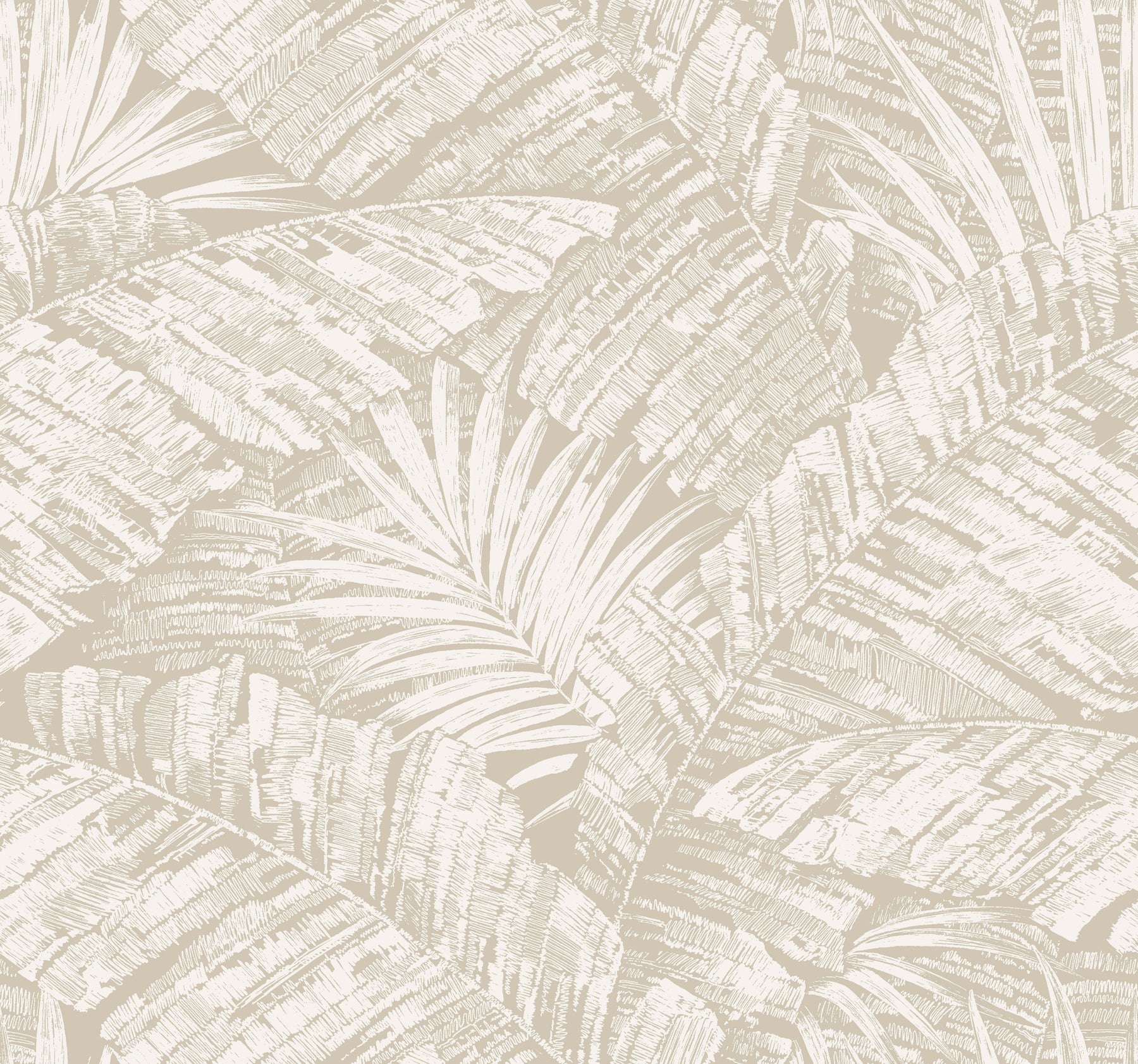 palm-cove-toile-wallpaper-white-taupe-york-wallcoverings-rt7926