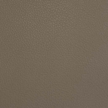 Santa Cruz SAT-004 Colorama faux leather