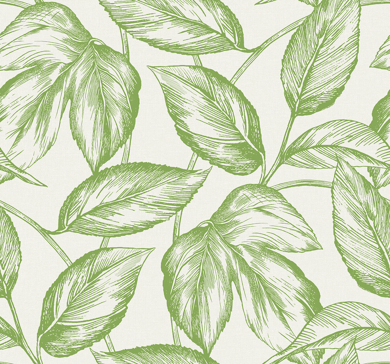 Seabrook Designs SC20004 Summer House Beckett Sketched Leaves  Wallpaper Apple Green