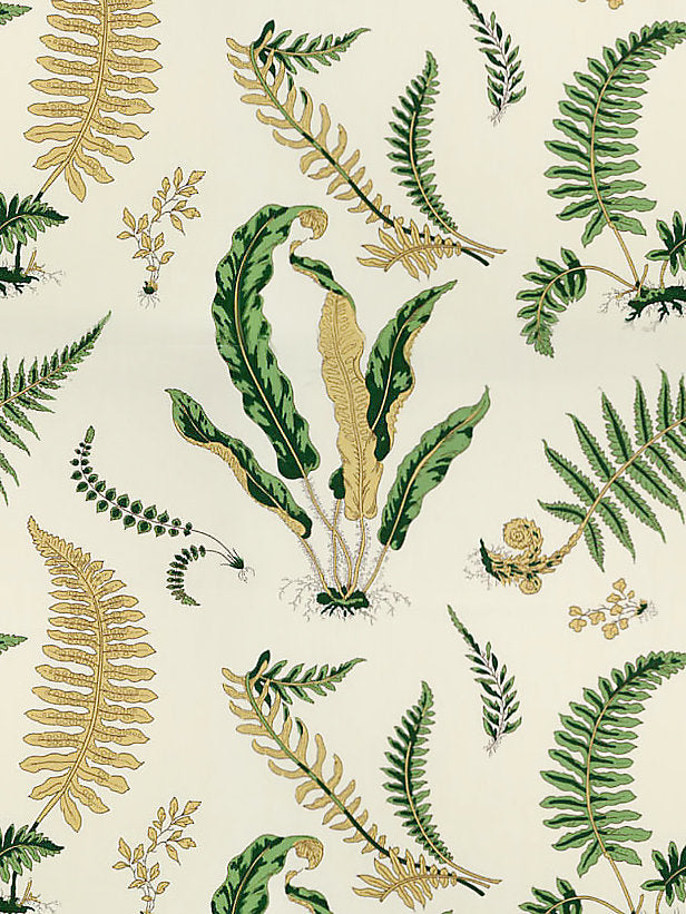Elsie De Wolfe Outdoor - Greens On Off-White - Scalamandre Fabric