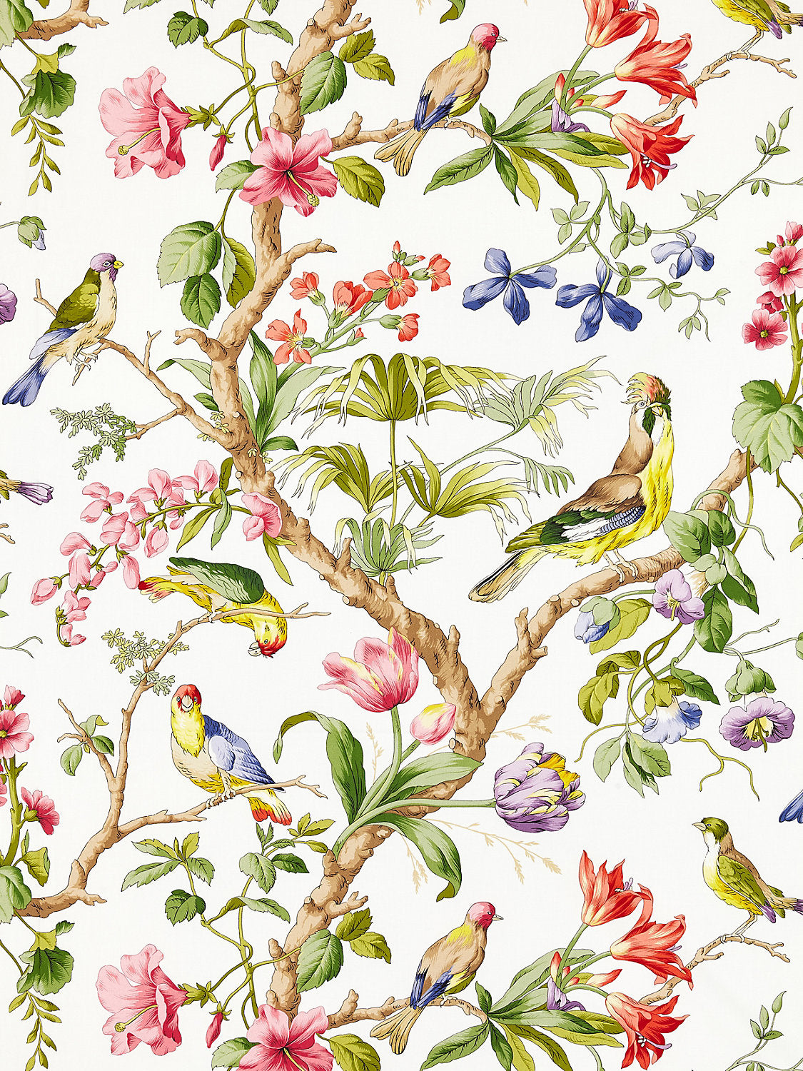 Belize Print - Ivory - Scalamandre Fabric
