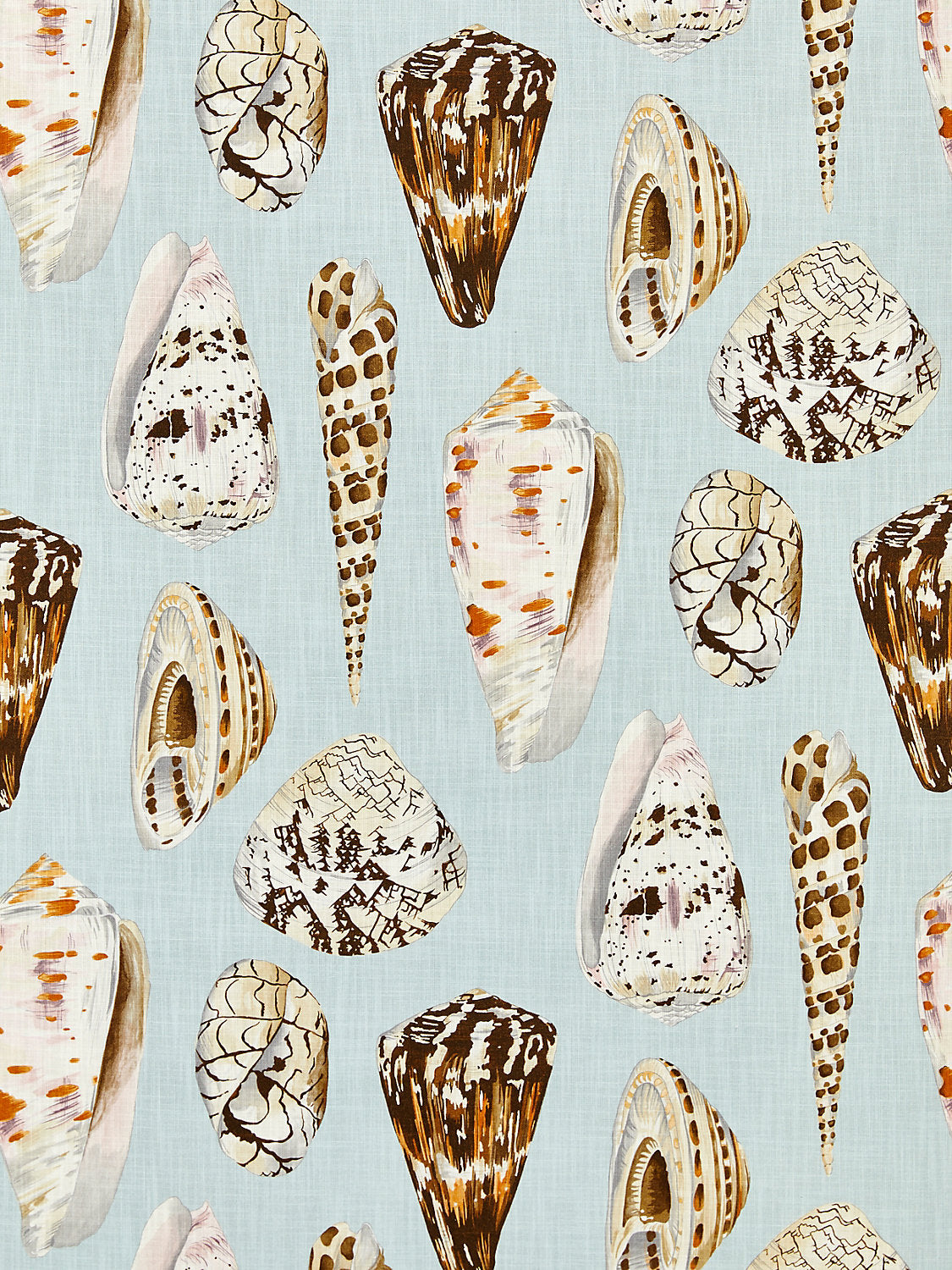 Coquina | Outdoor - Multi On Sea Blue - Scalamandre Fabric