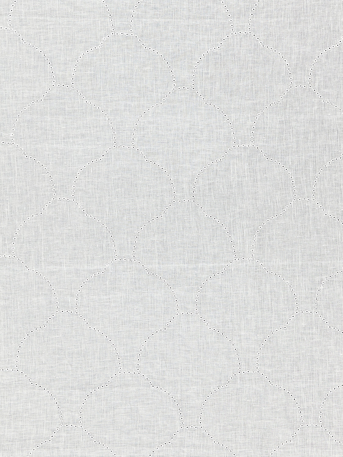 Coquille Sheer - Ivory
