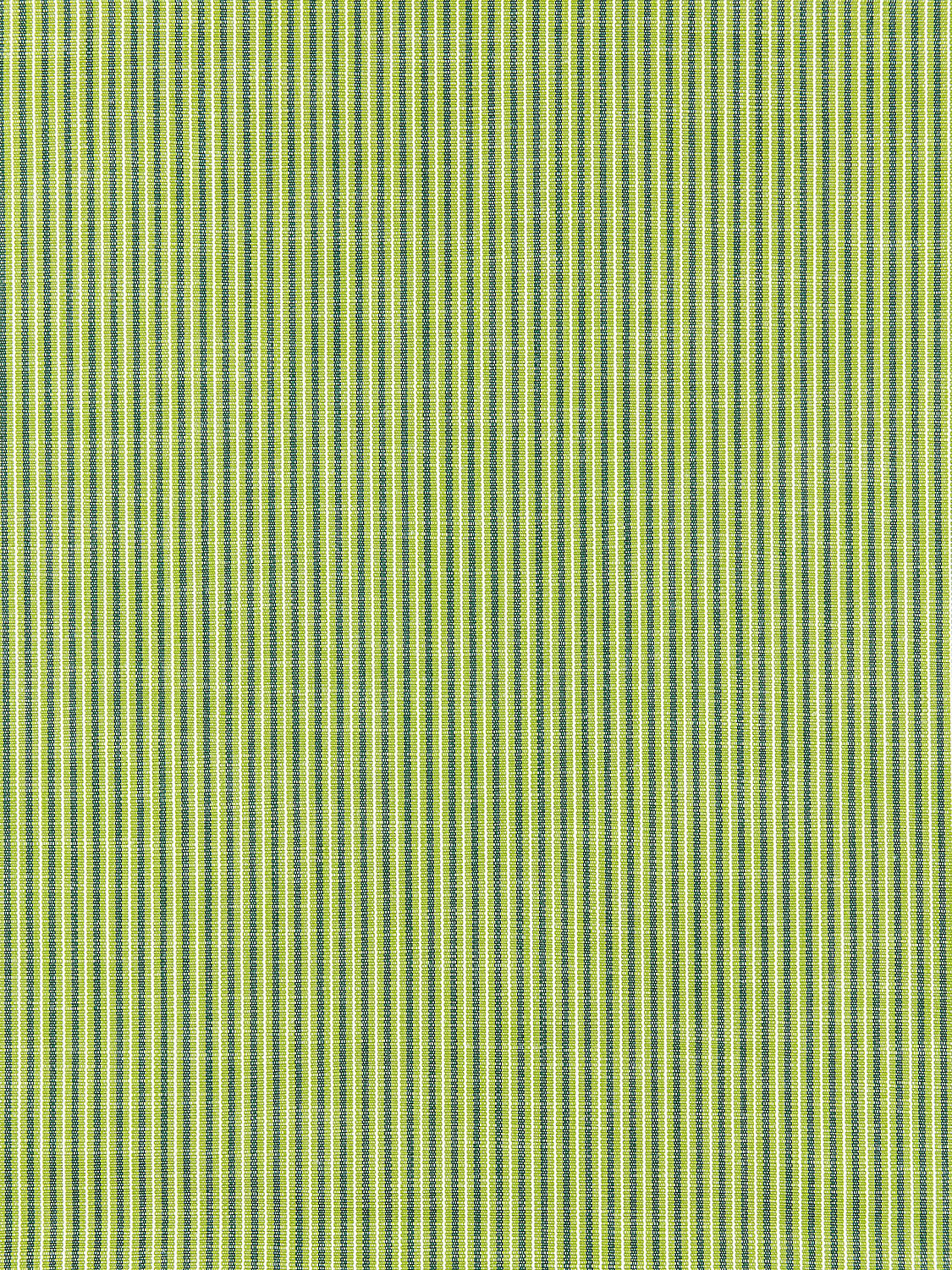Tisbury Stripe - Fern