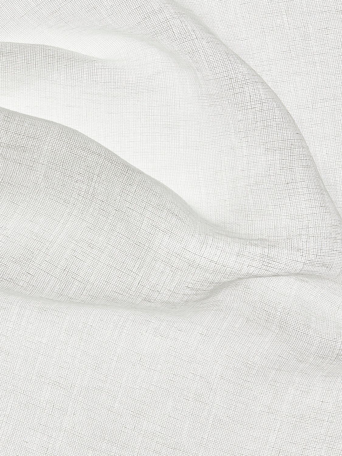 Moondust Sheer - Off White - Scalamandre Fabric