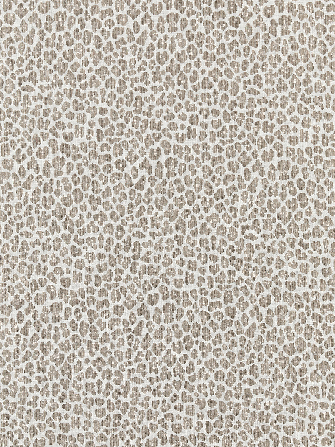 Backyard Bengal - Limestone