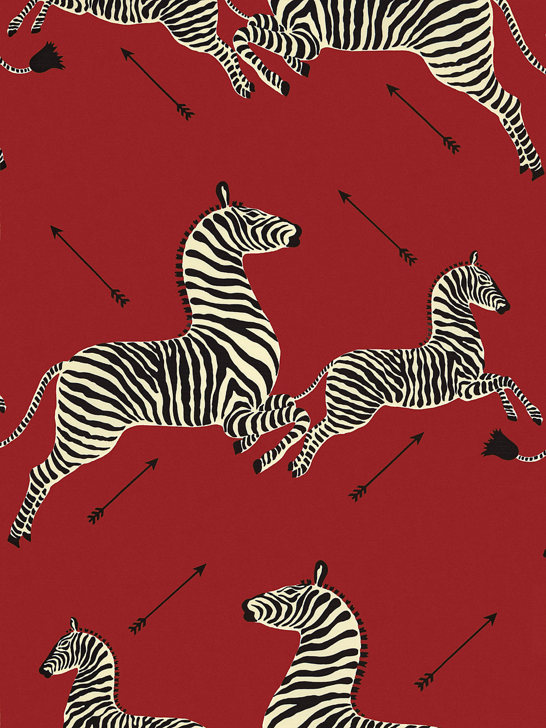 Zebras | Outdoor - Masai Red