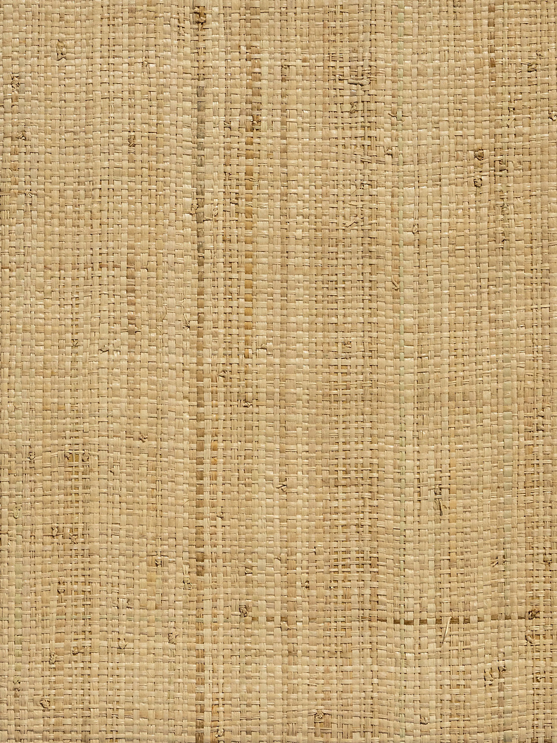 Imerina | Reed - Large Cloves - Scalamandre Wallpaper