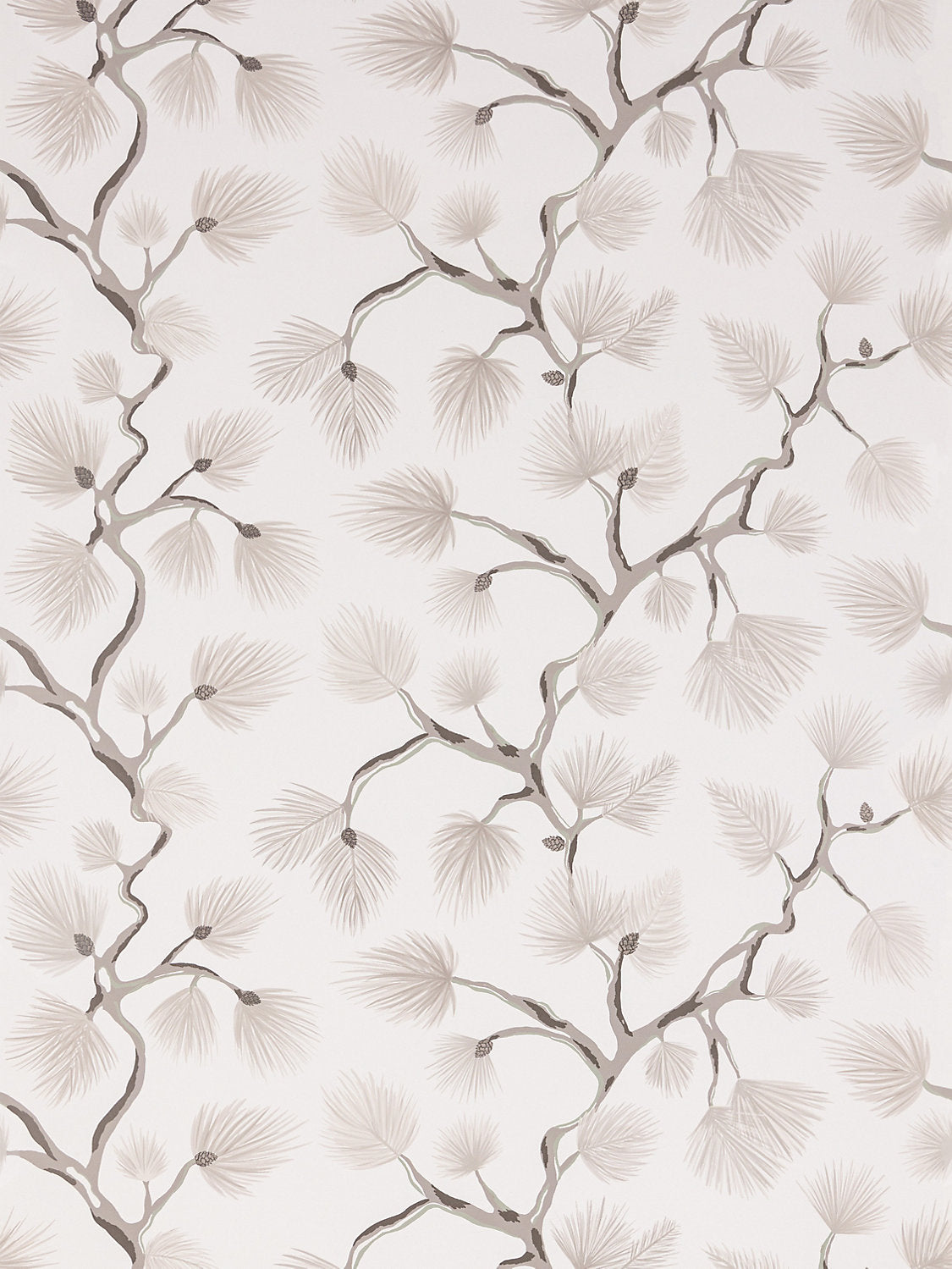 Pignoli Wallcovering - Snow