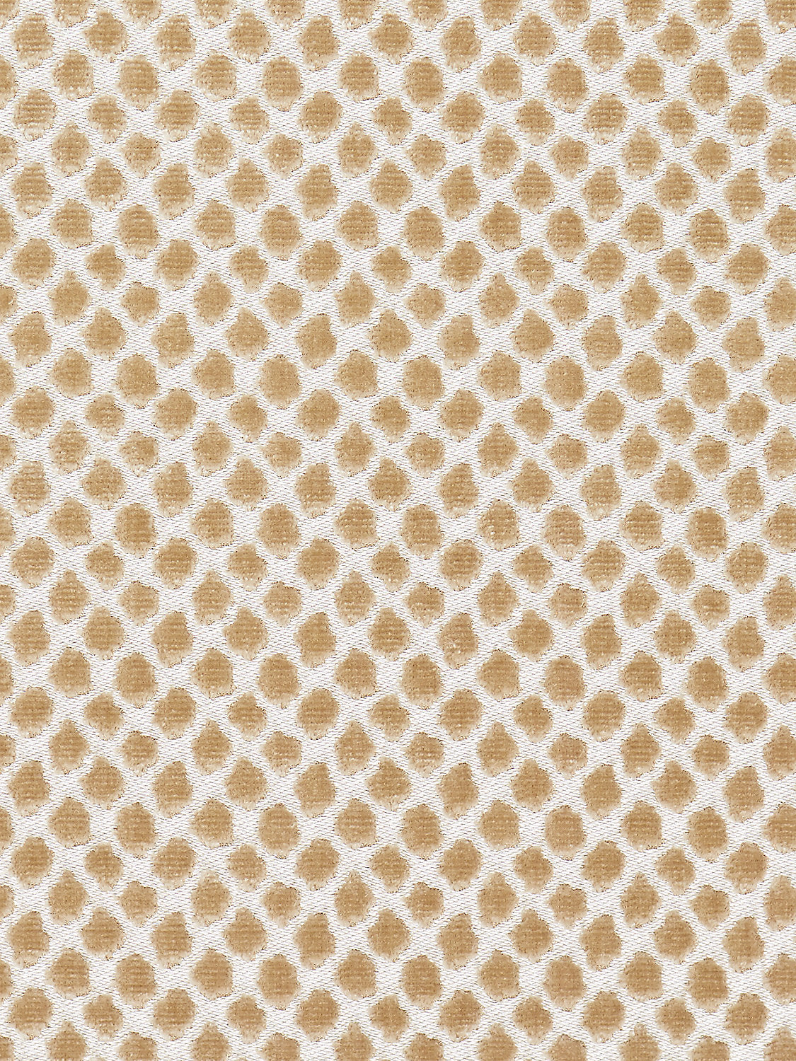 Etosha Velvet - Sand - Scalamandre Fabric