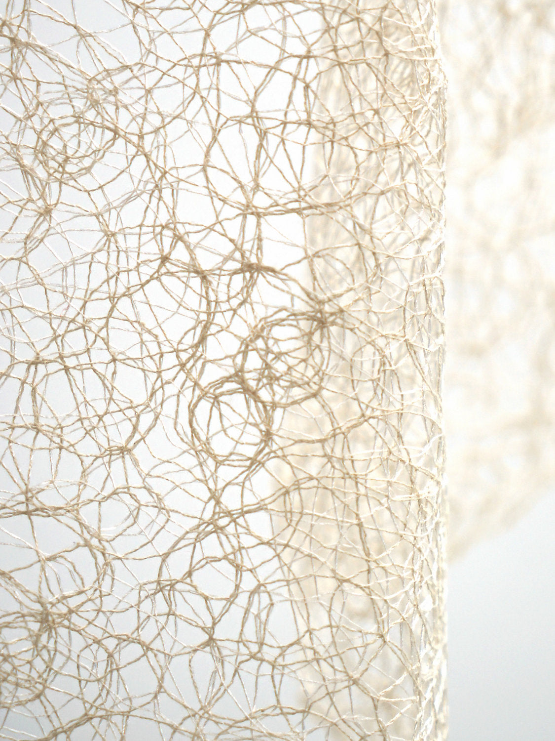 Modern Lace - Champagne