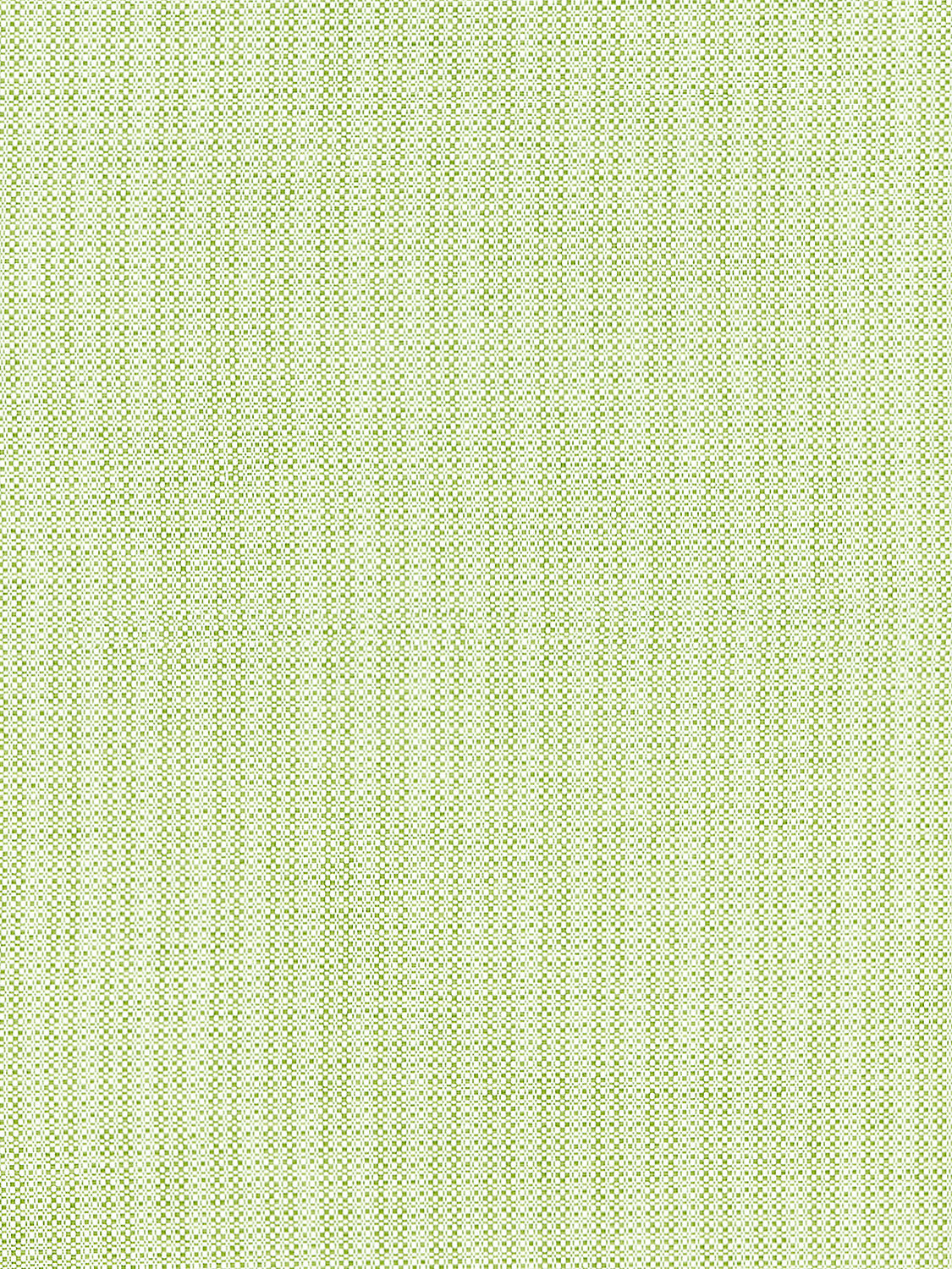 Tahiti Tweed - Palm