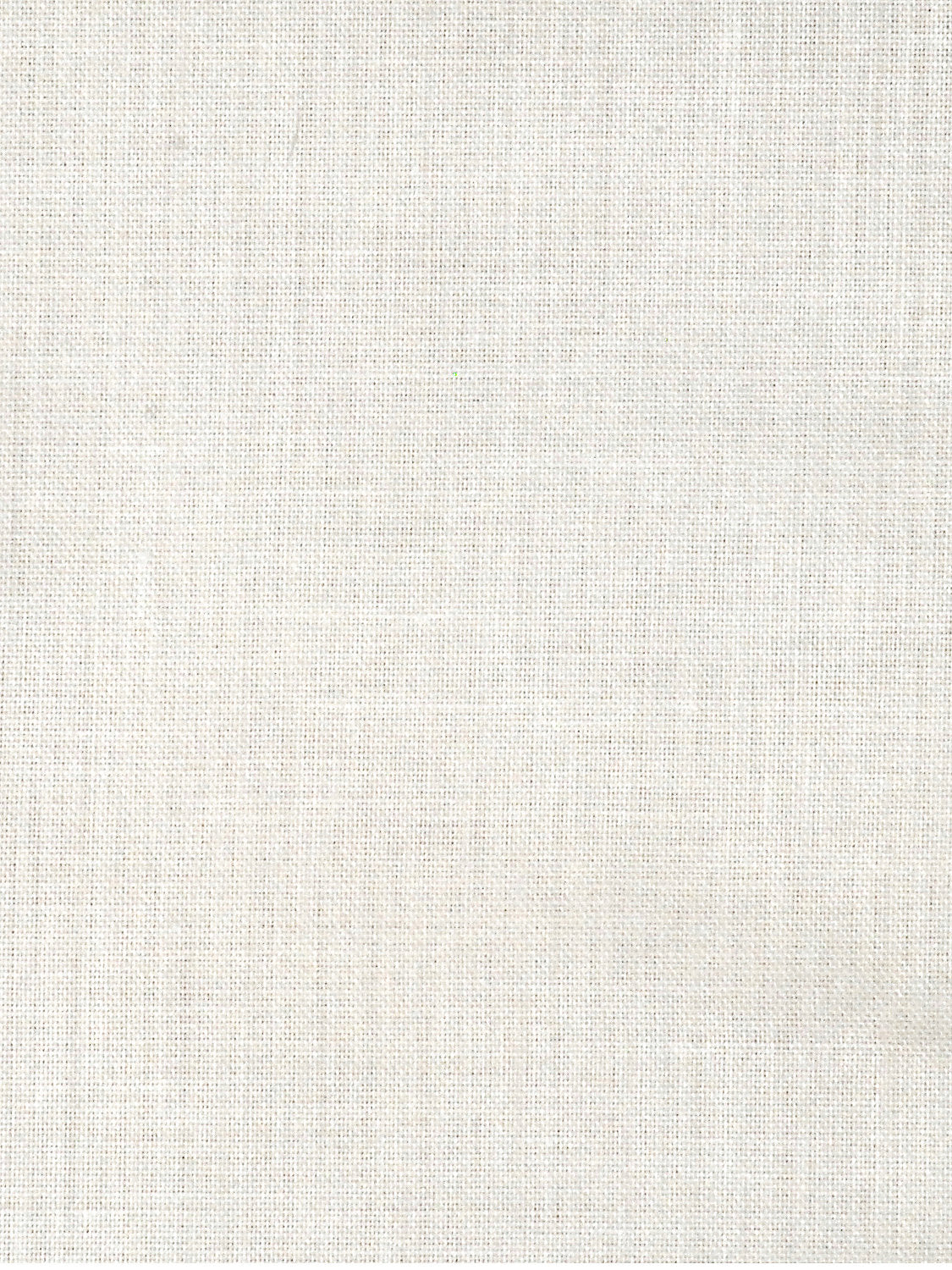 Casino Sheer - Ivory - Scalamandre Fabric