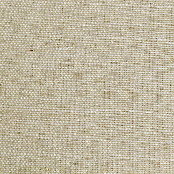 Sisal - Biscuit