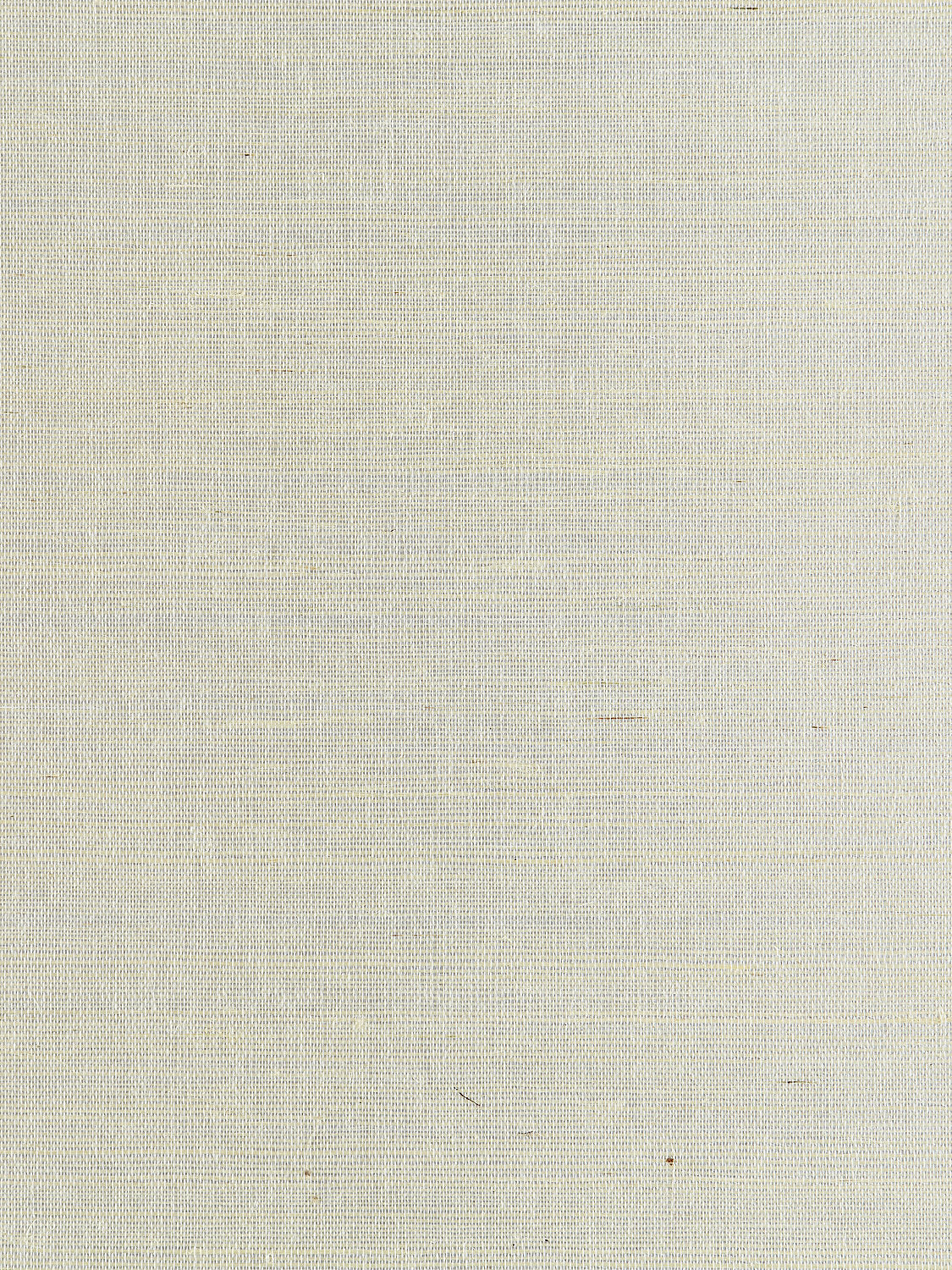 Metal Sisal - Ice - Scalamandre Wallpaper
