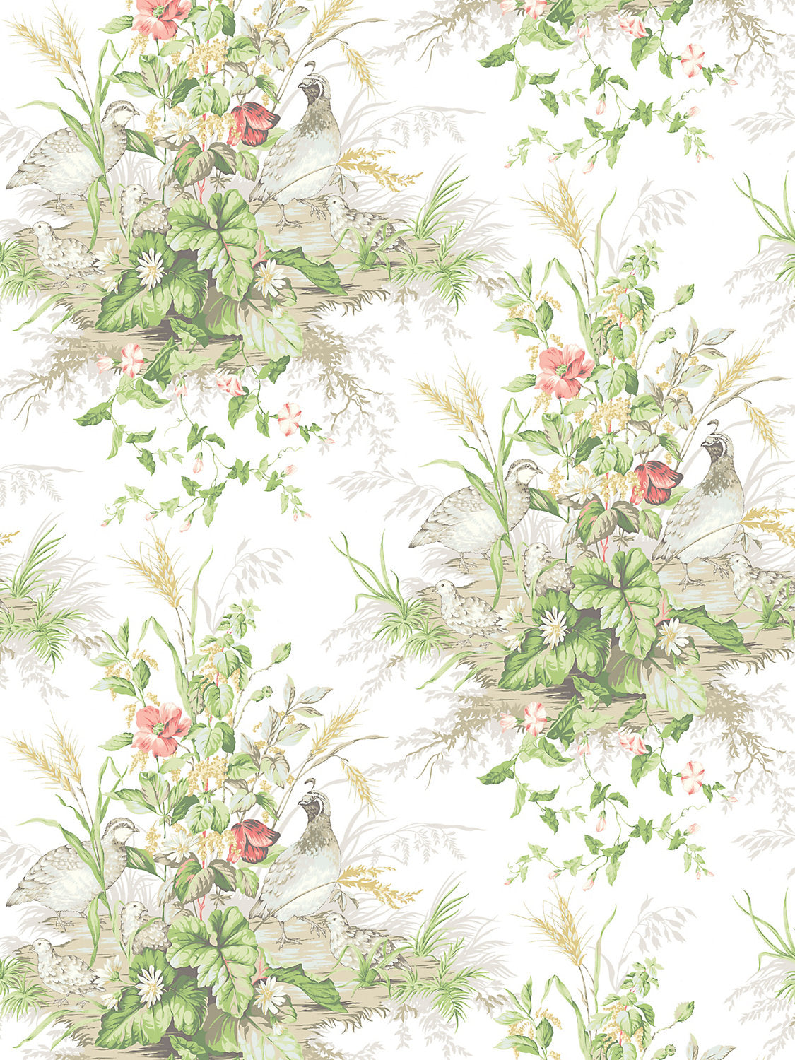 Edwin'S Covey - Prairie - Scalamandre Wallpaper