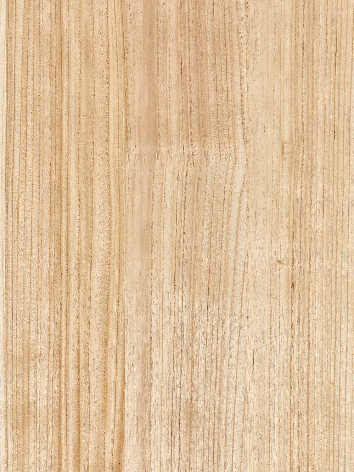 Woodgrain - Oak - Scalamandre Wallpaper