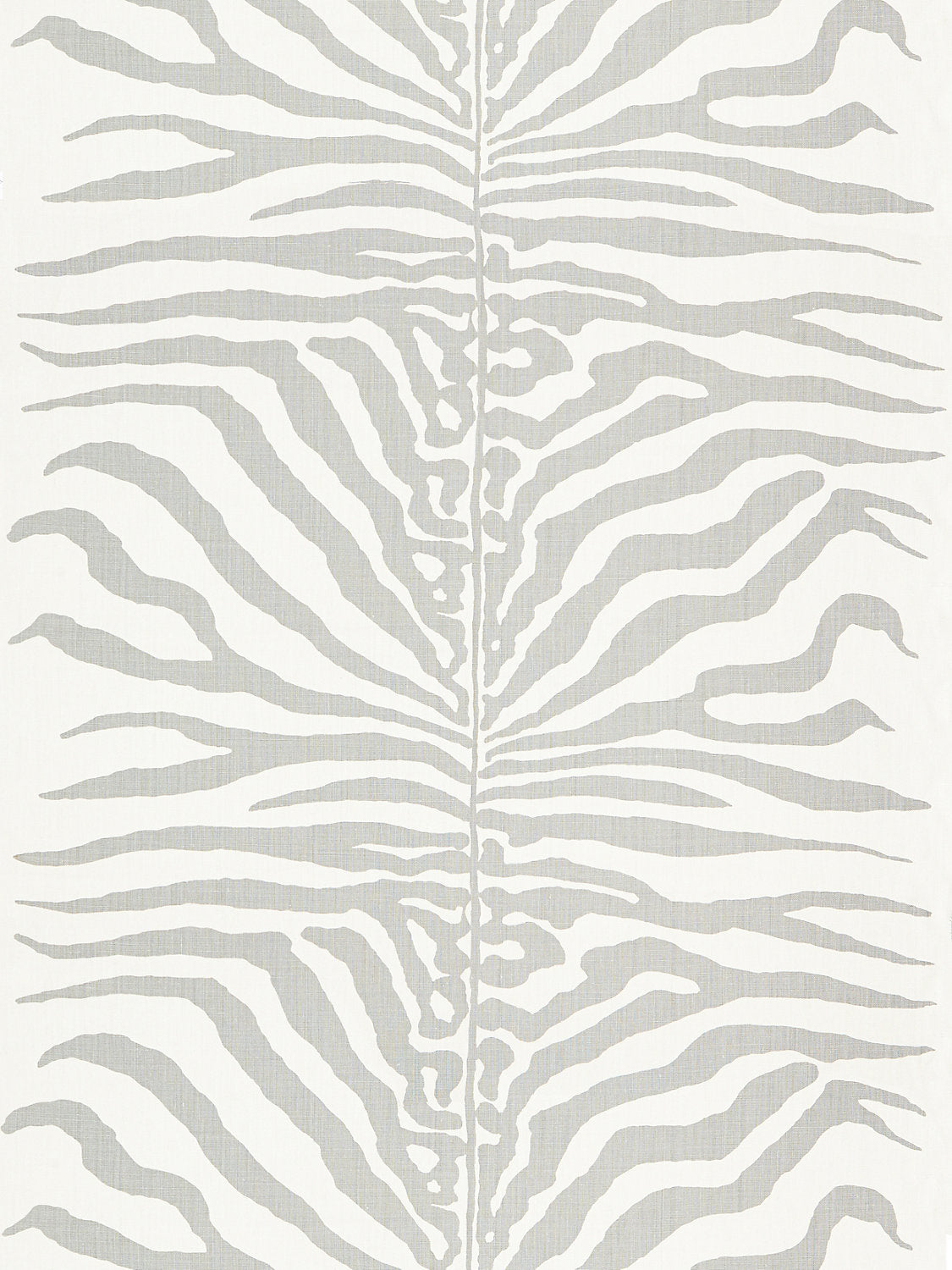 Zebra - Zinc