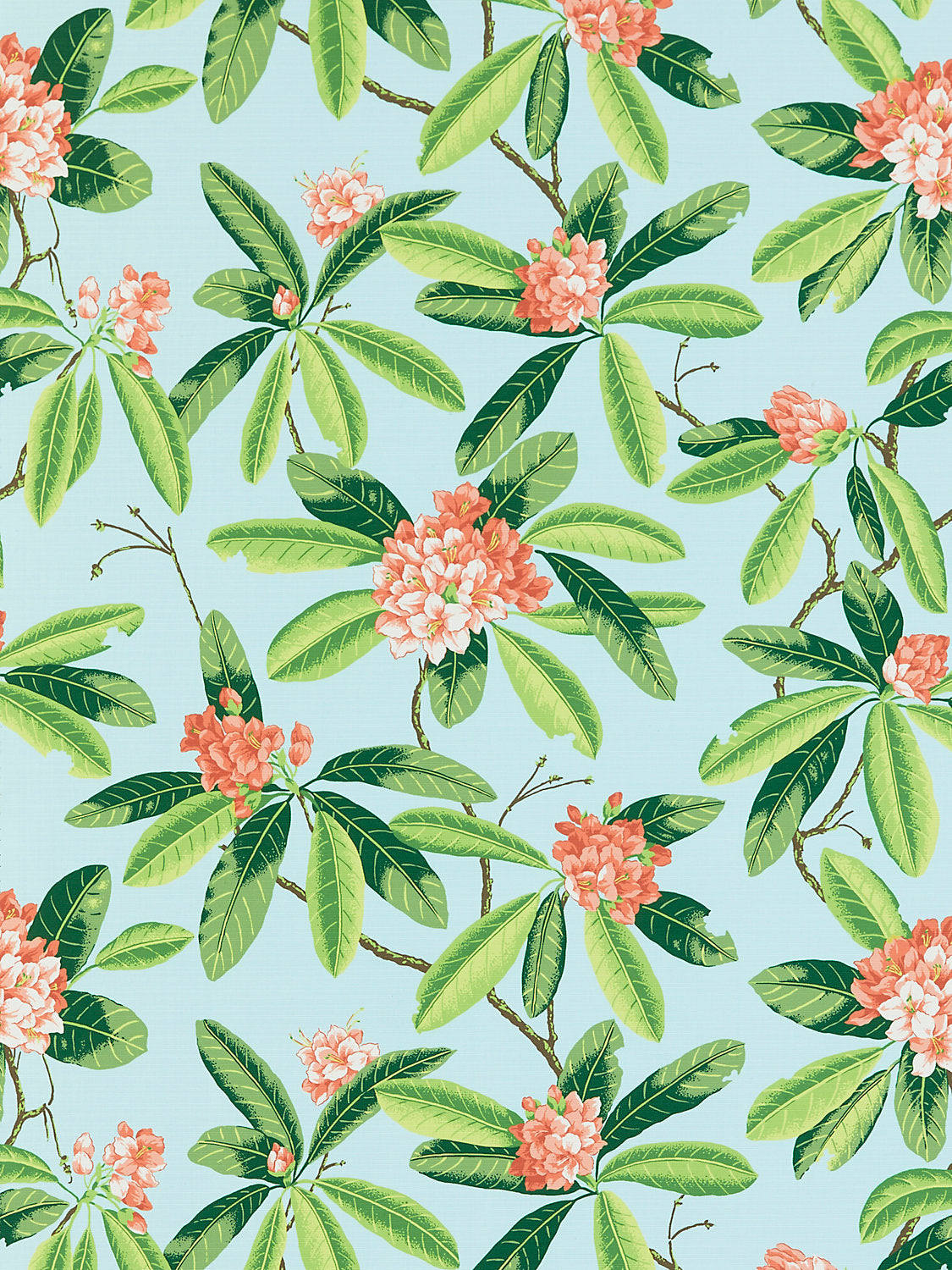 Rhododendron | Outdoor - Coral On Aqua
