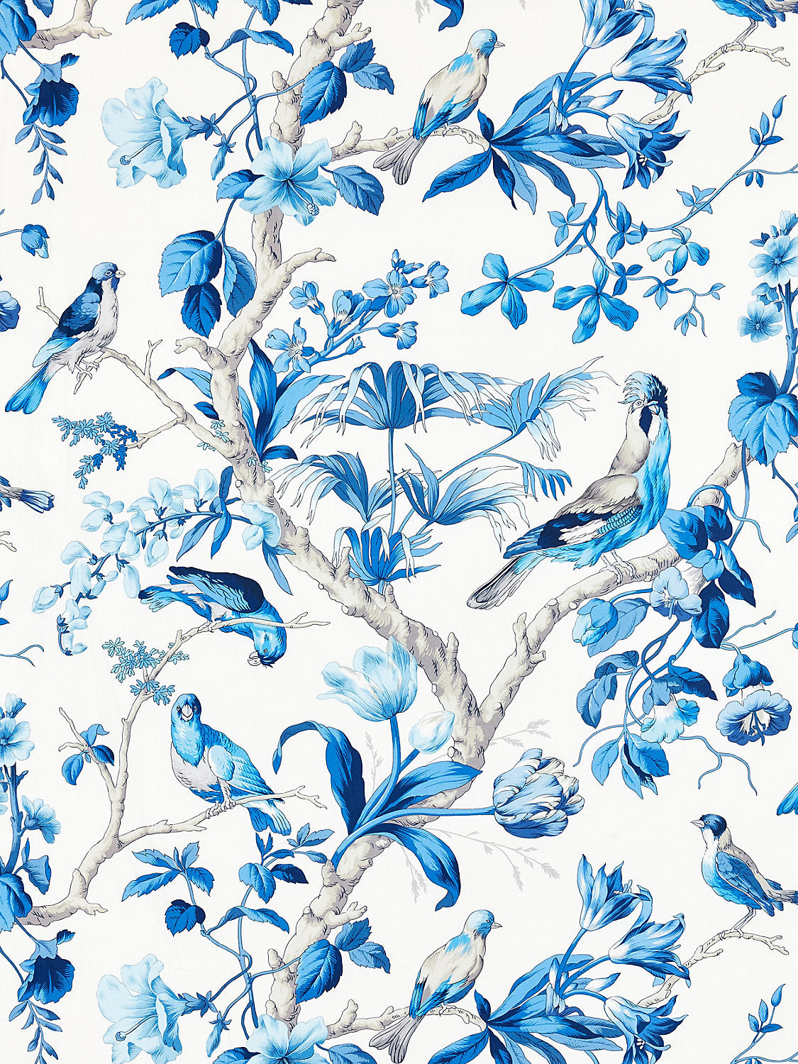 Belize Print - Porcelain - Scalamandre Fabric