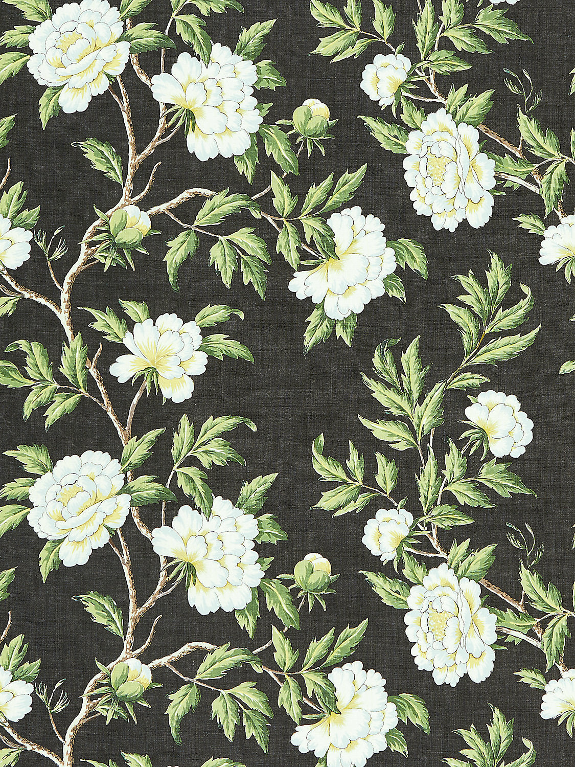 Peonia Linen Print - Onyx - Scalamandre Fabric