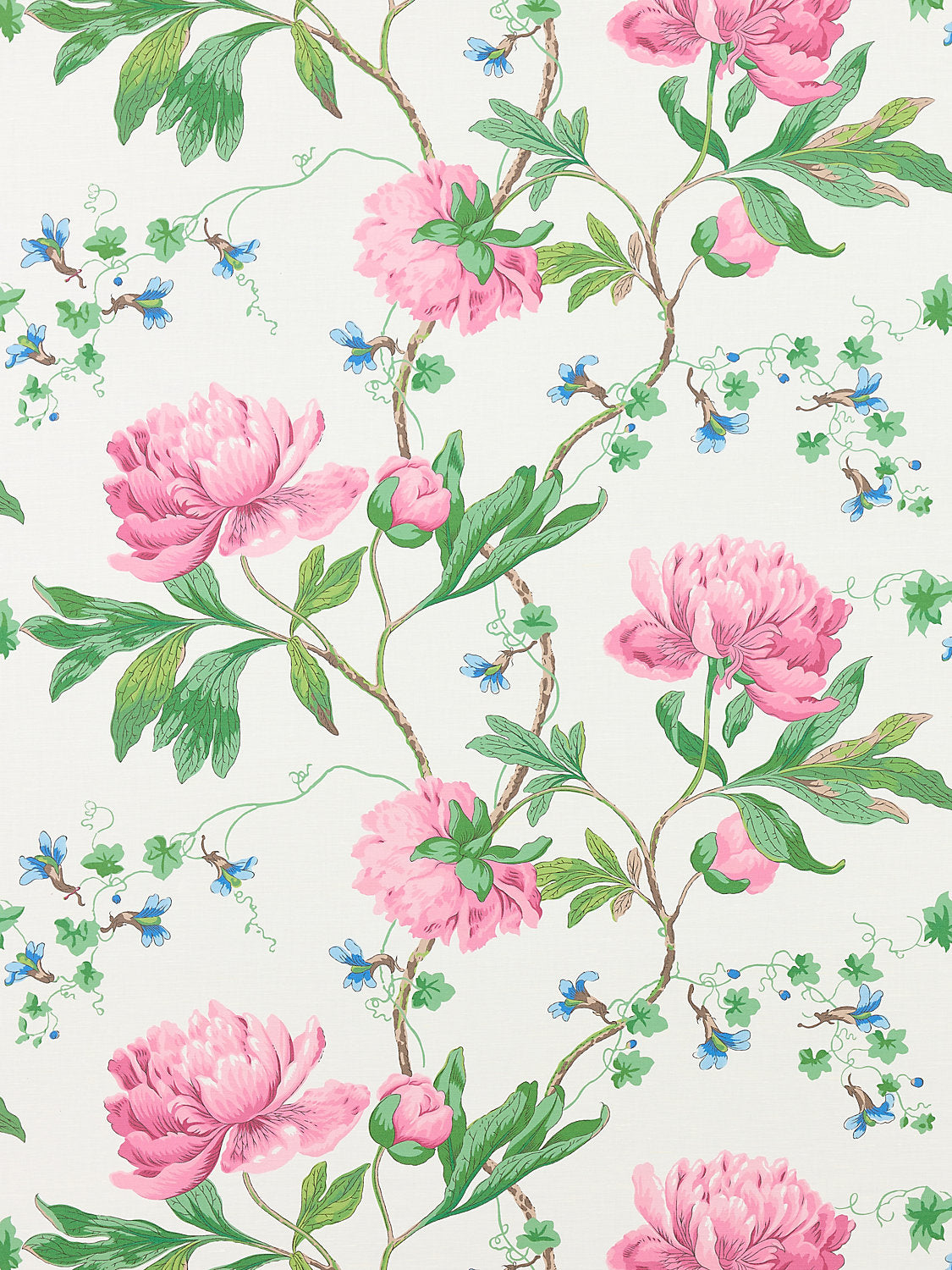 Isadora Print - Petal - Scalamandre Fabric