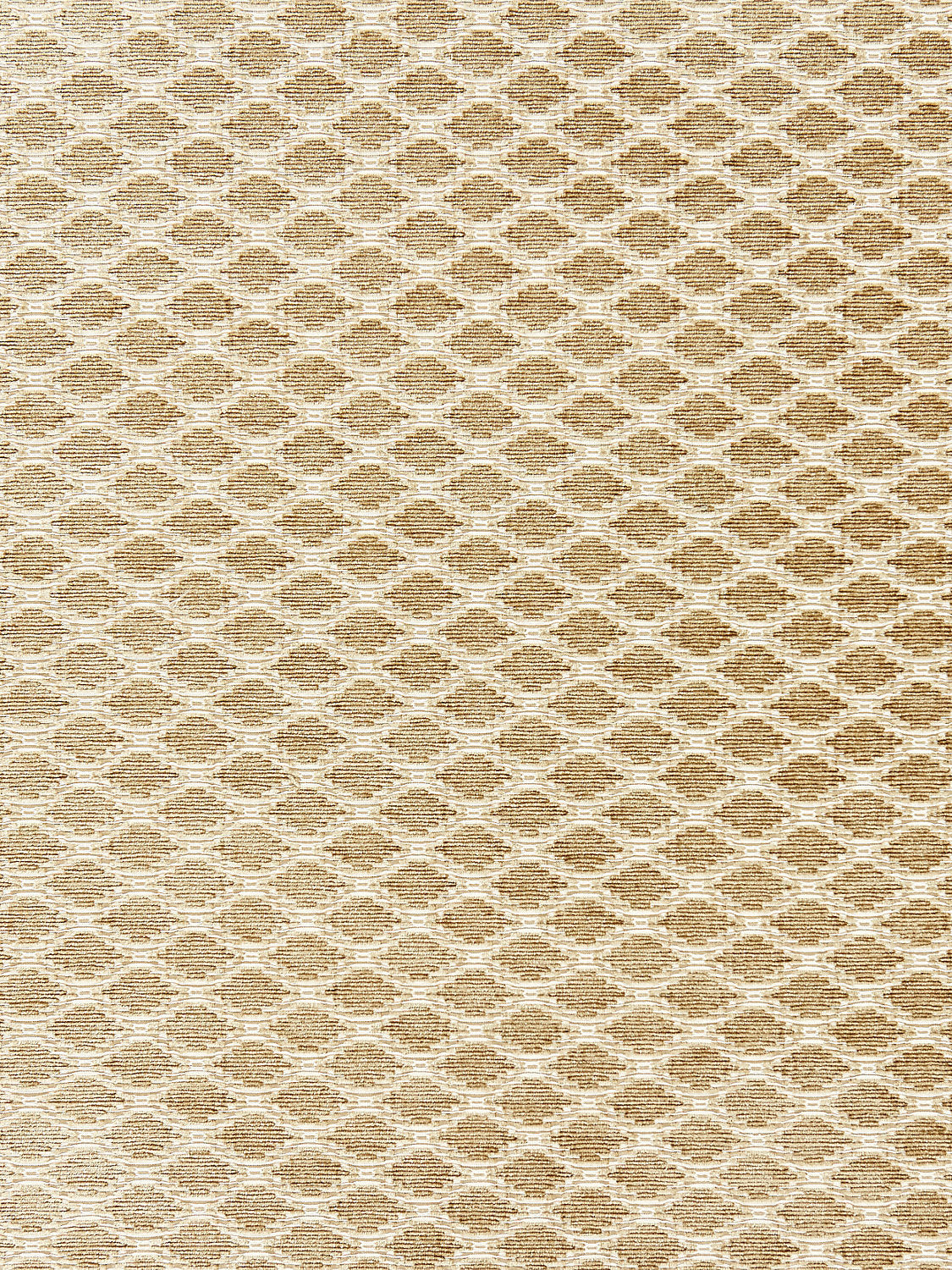 Tristan Weave - Latte