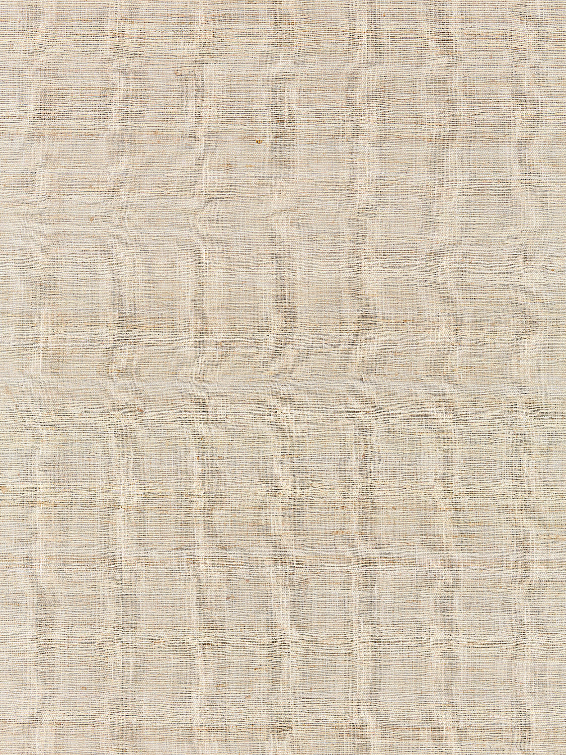 Tussah Sheer - Greige - Scalamandre Fabric