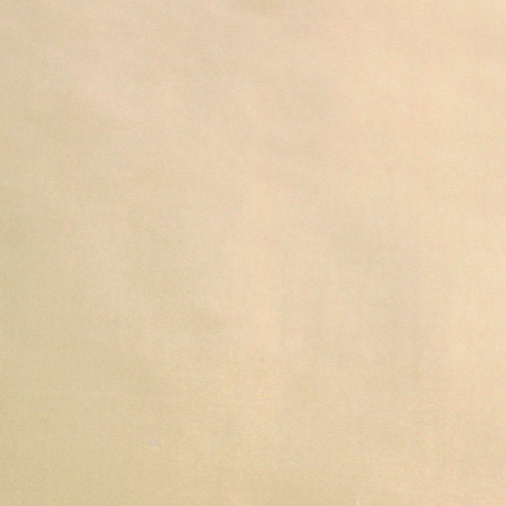 Dynasty Taffeta - Cream - Scalamandre Fabric