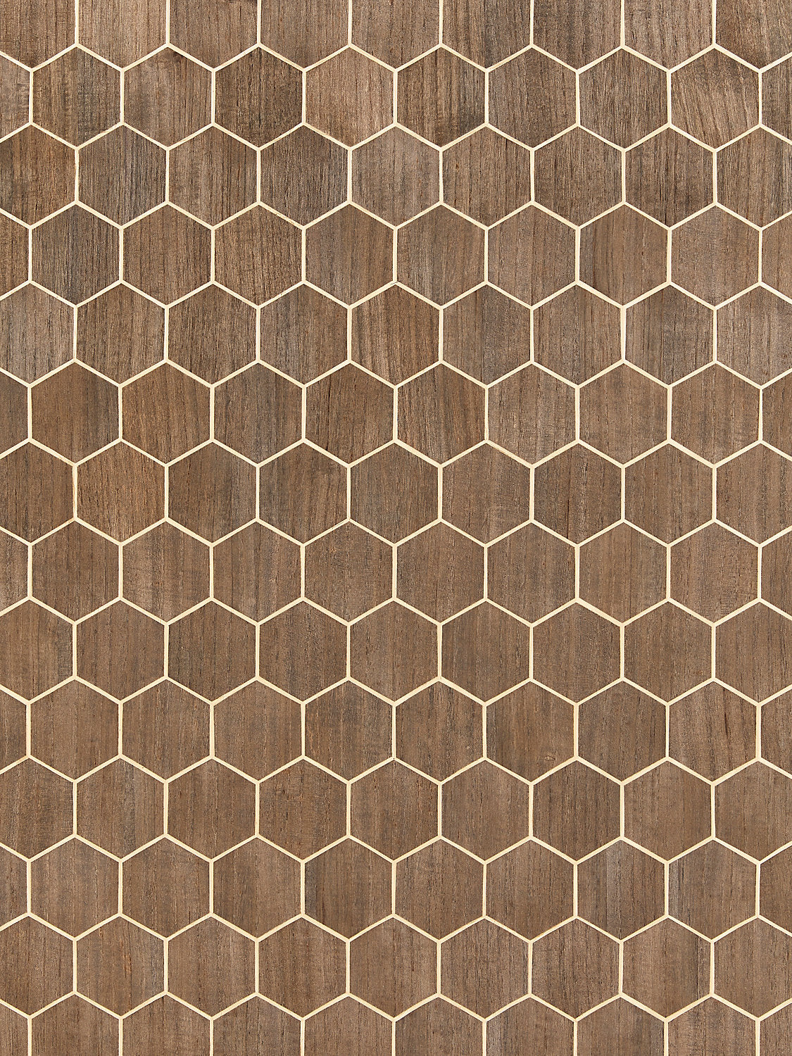 Andante - Chocolate - Scalamandre Wallpaper