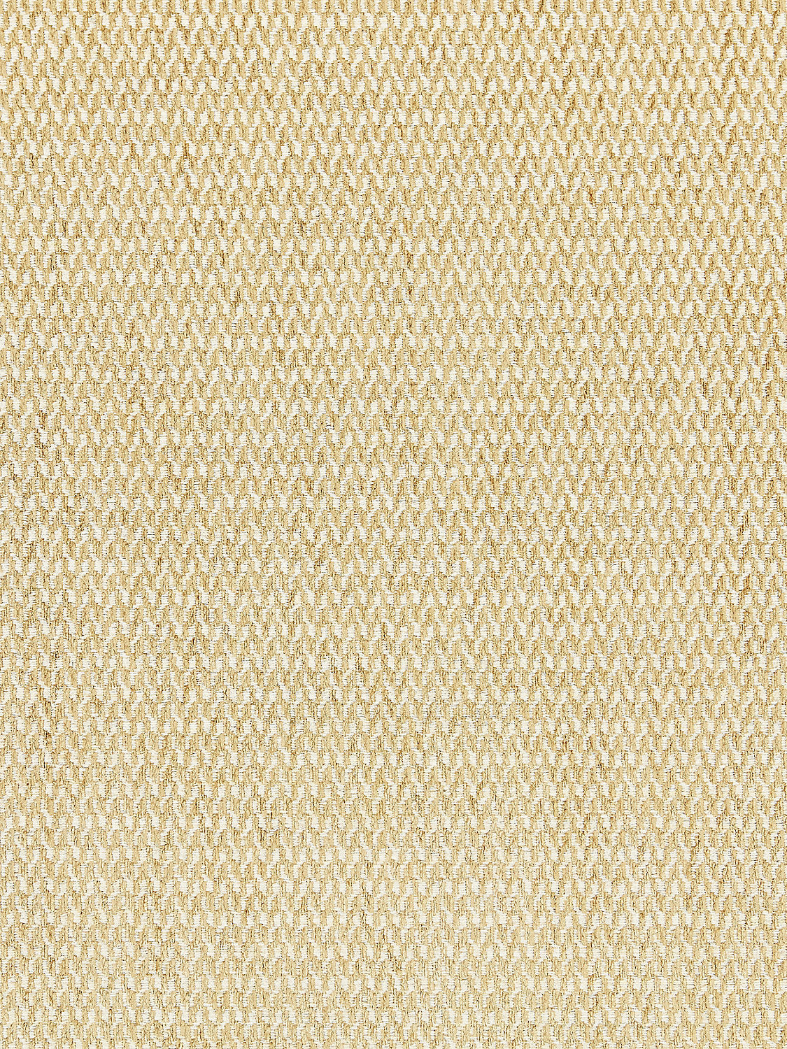 Cortona Chenille - Cafe - Scalamandre Fabric