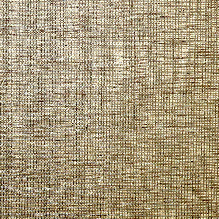 Sisal - Acorn - Scalamandre Wallpaper